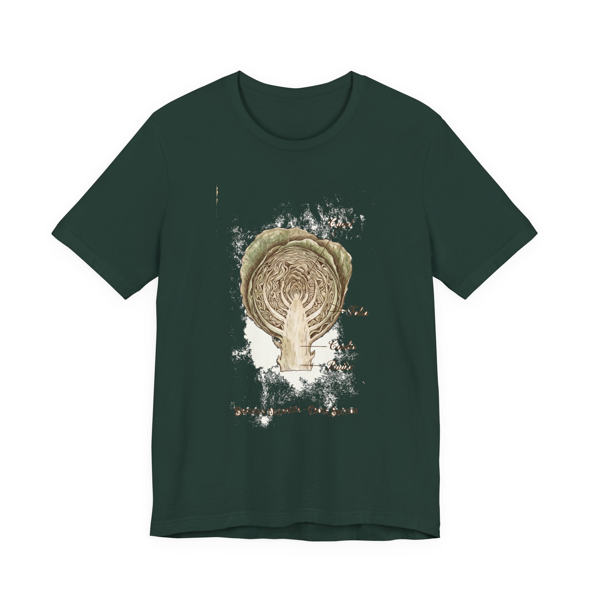 Cabbage Crush 2026 | Scientific Botanical Cross-Section V9 | Unisex Graphic Tee - Image 17