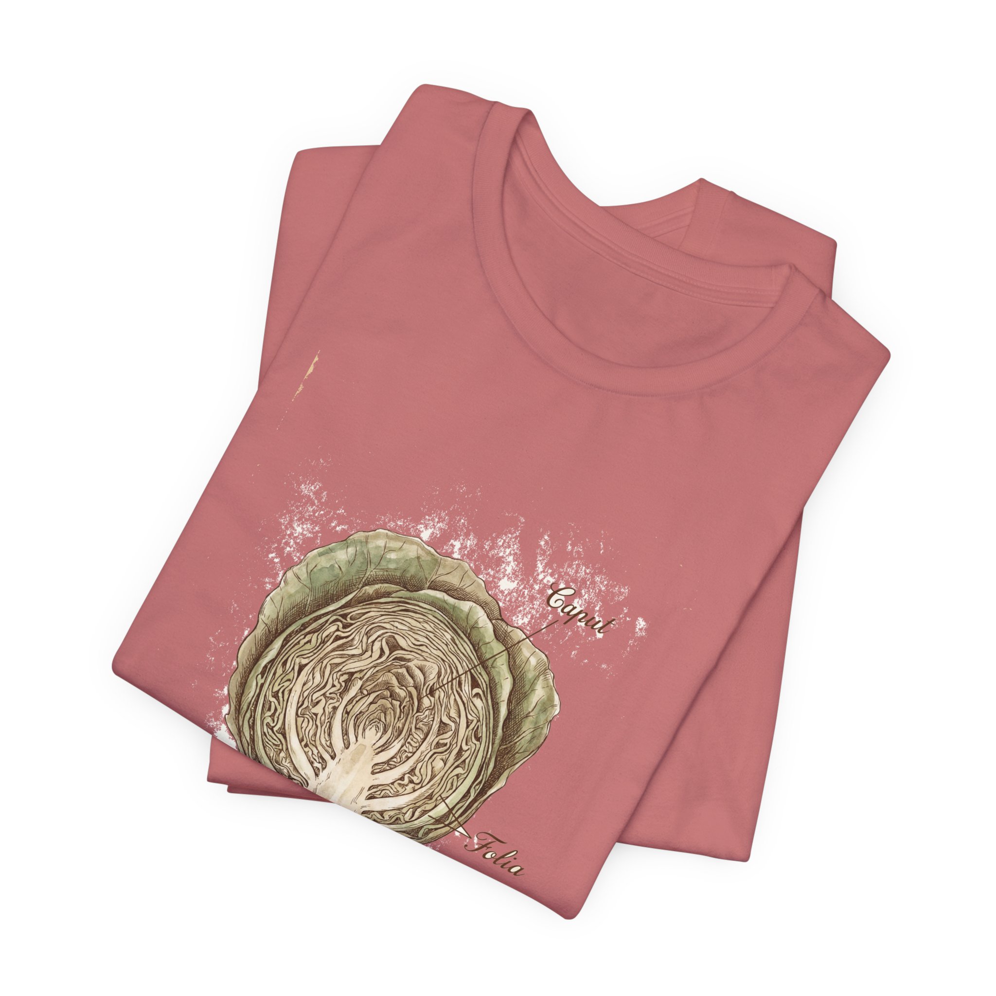 Cabbage Crush 2026 | Scientific Botanical Cross-Section V9 | Unisex Graphic Tee - Image 7