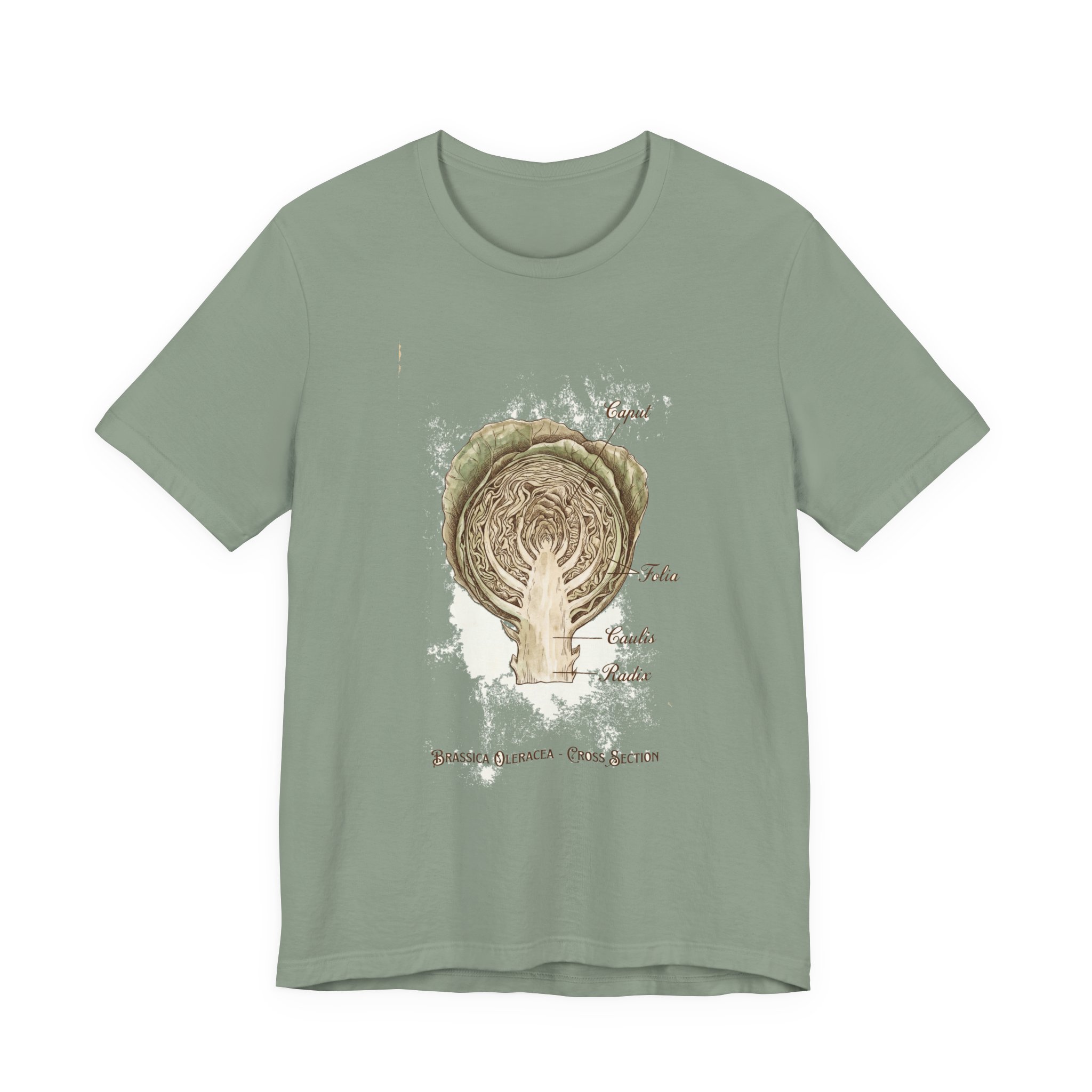 Cabbage Crush 2026 | Scientific Botanical Cross-Section V9 | Unisex Graphic Tee - Image 13