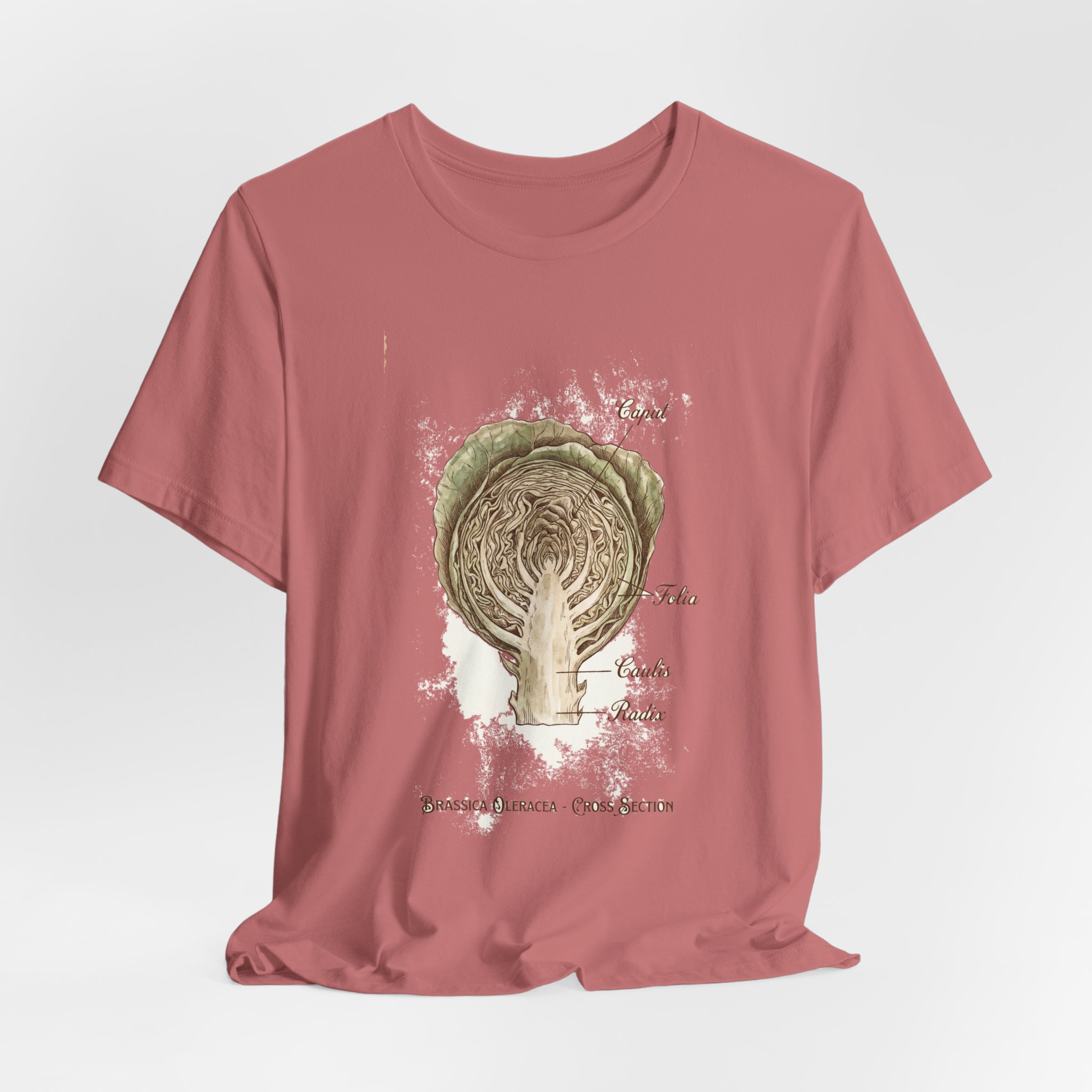 Cabbage Crush 2026 | Scientific Botanical Cross-Section V9 | Unisex Graphic Tee - Image 8