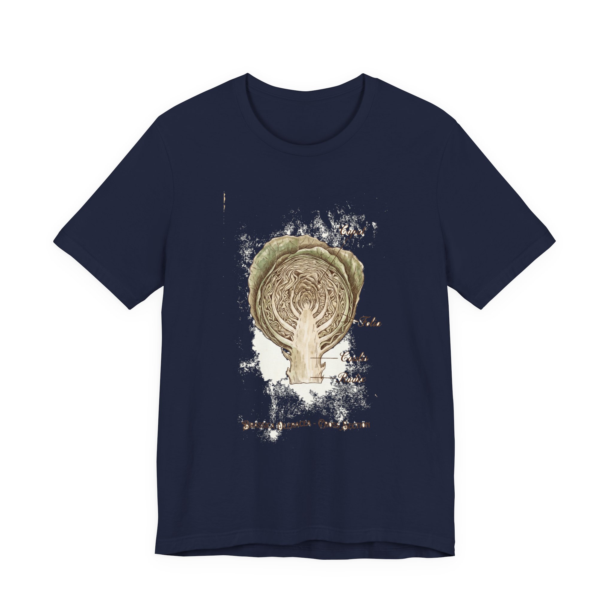 Cabbage Crush 2026 | Scientific Botanical Cross-Section V9 | Unisex Graphic Tee - Image 21