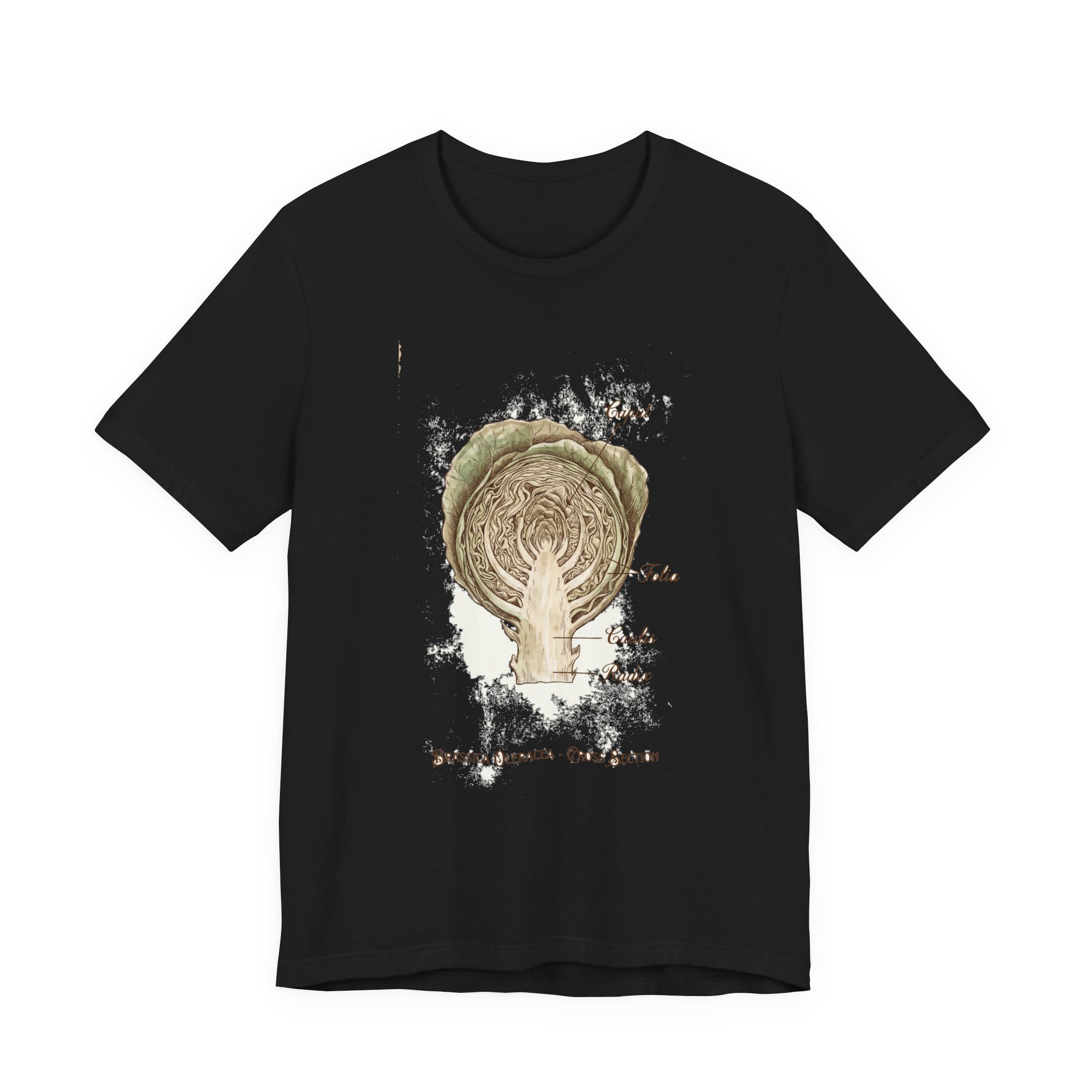 Cabbage Crush 2026 | Scientific Botanical Cross-Section V9 | Unisex Graphic Tee - Image 9