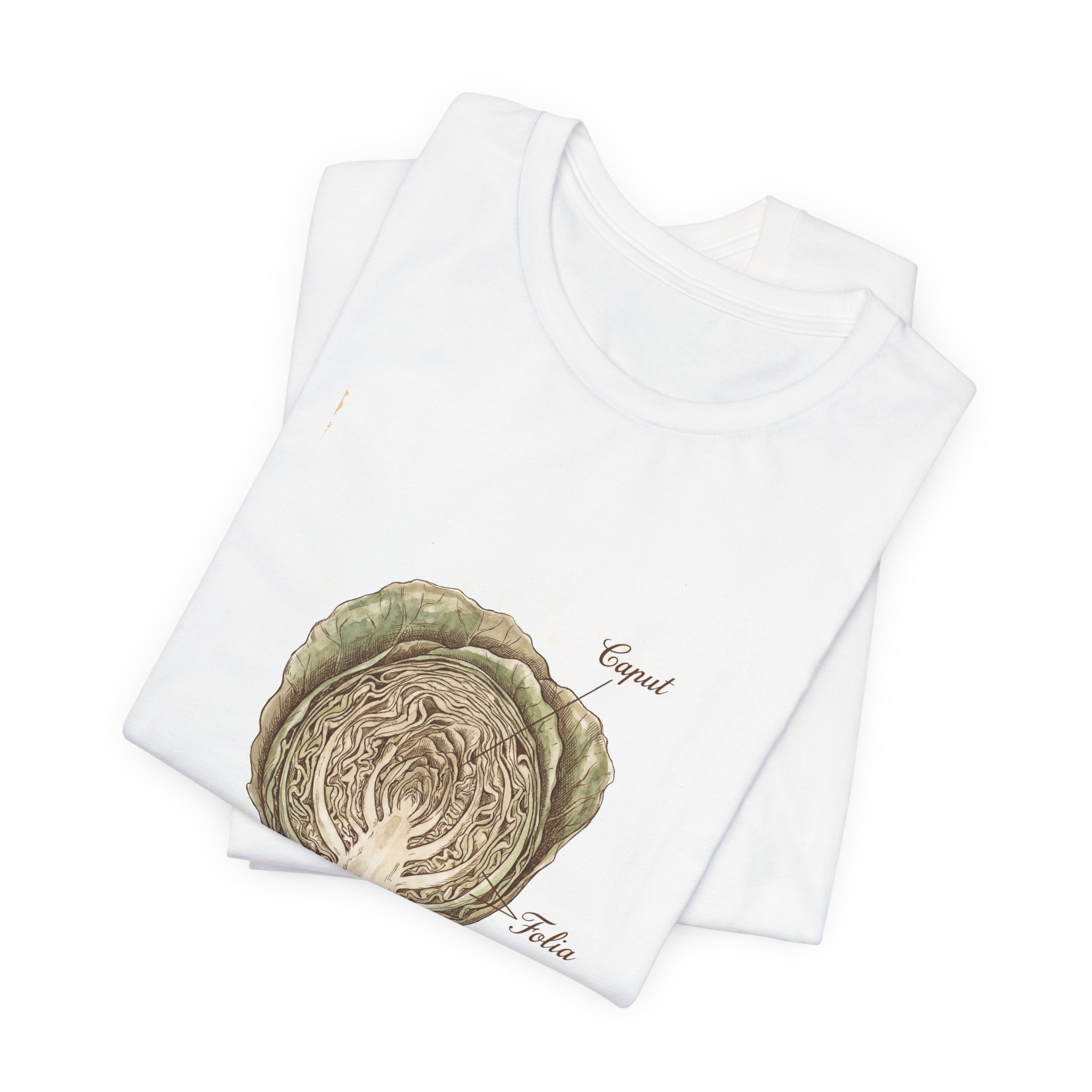 Cabbage Crush 2026 | Scientific Botanical Cross-Section V9 | Unisex Graphic Tee - Image 3