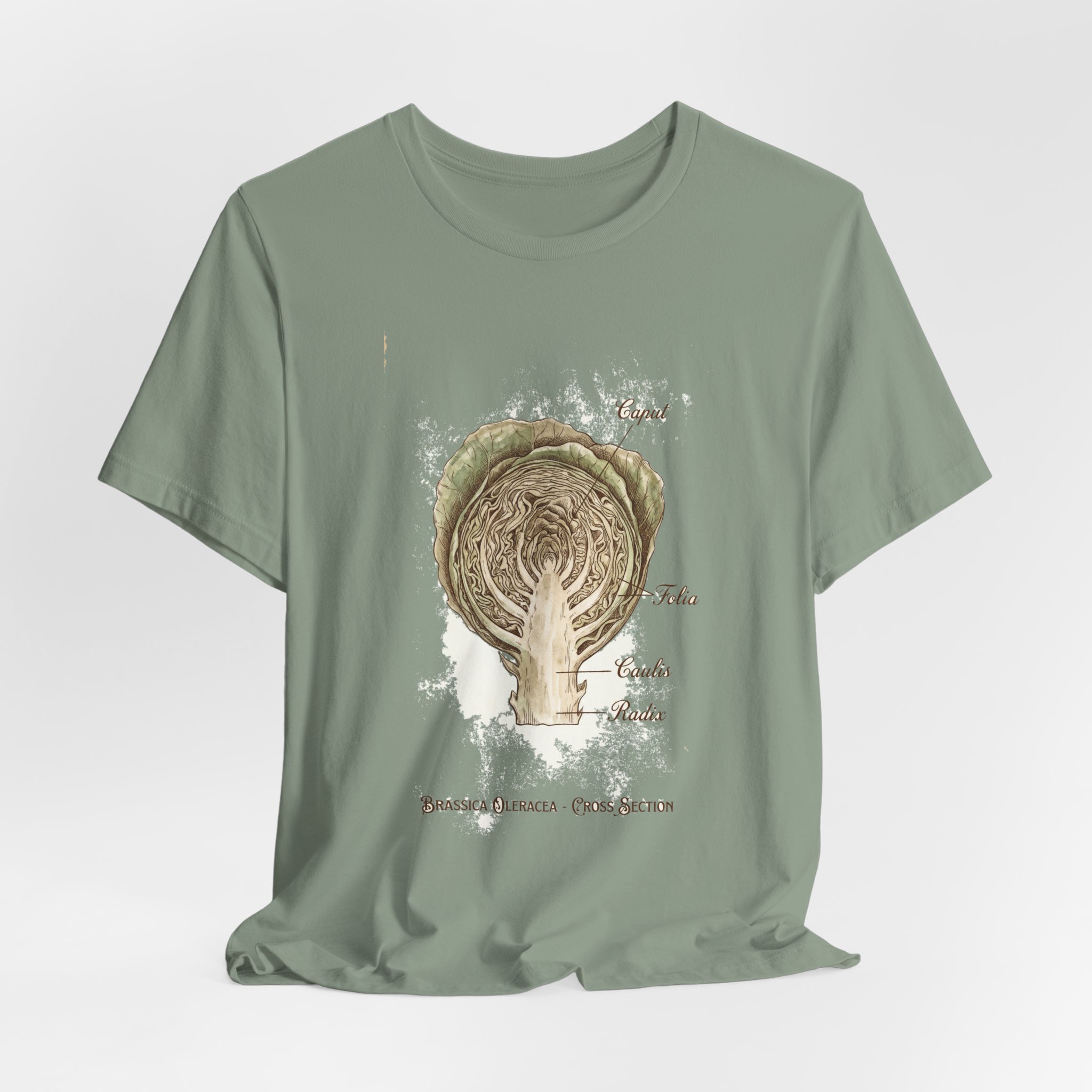 Cabbage Crush 2026 | Scientific Botanical Cross-Section V9 | Unisex Graphic Tee - Image 16
