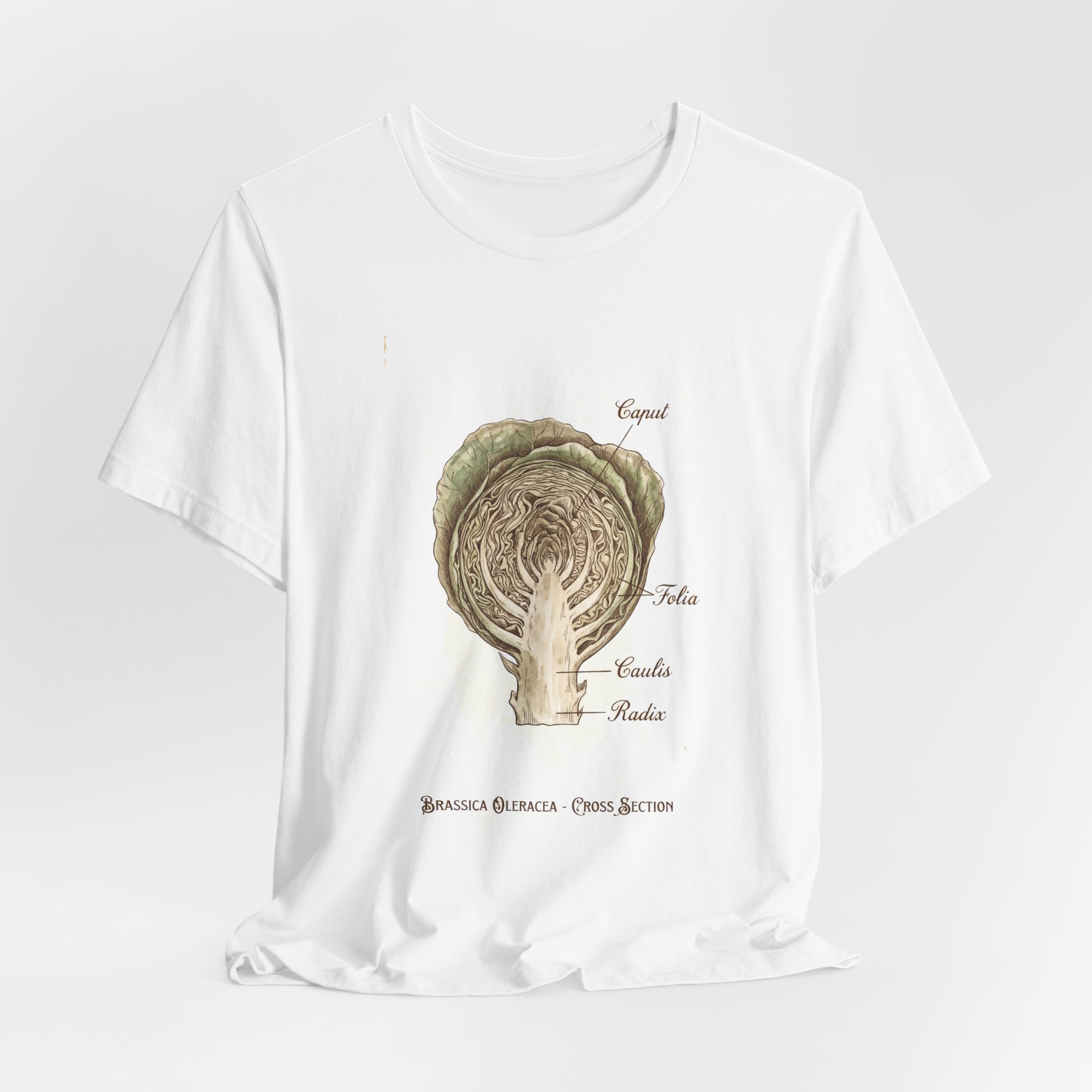 Cabbage Crush 2026 | Scientific Botanical Cross-Section V9 | Unisex Graphic Tee - Image 4