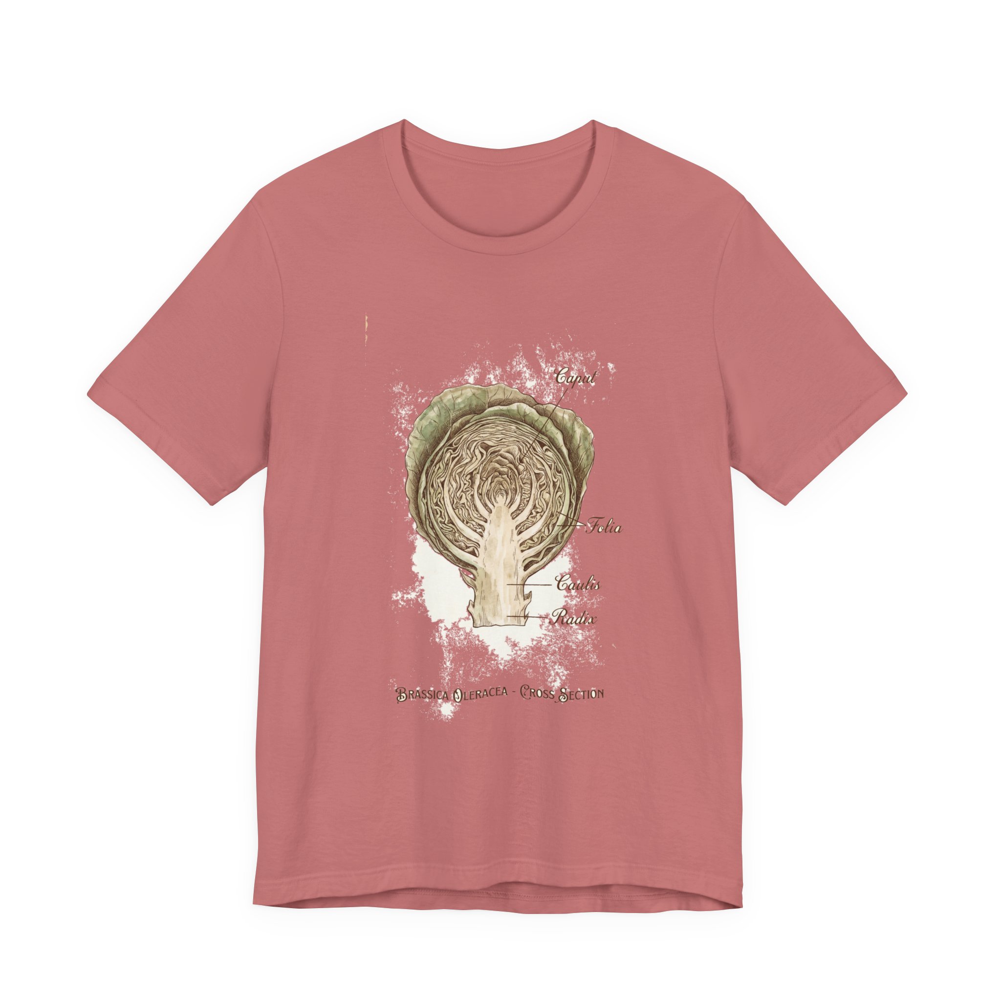 Cabbage Crush 2026 | Scientific Botanical Cross-Section V9 | Unisex Graphic Tee - Image 5