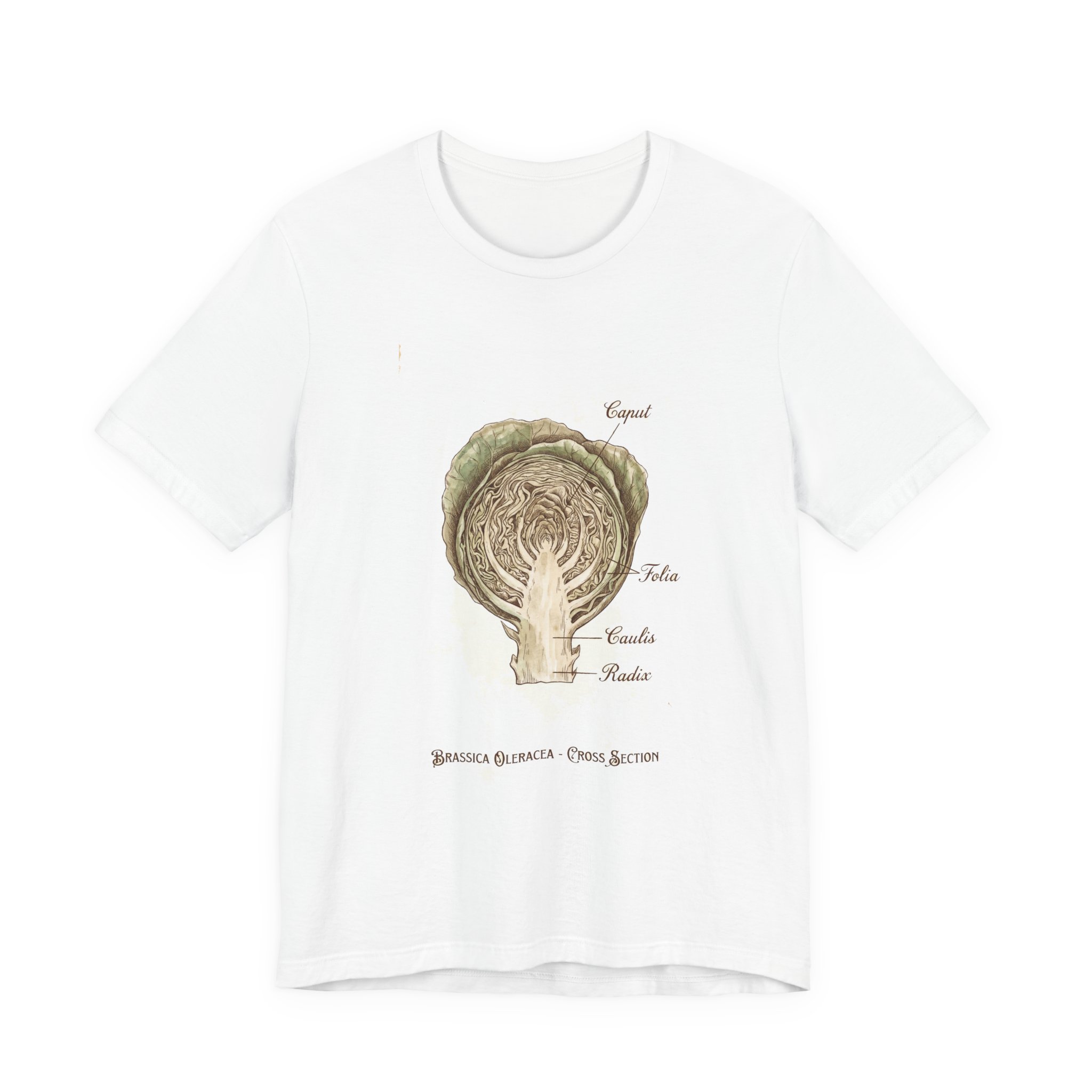 Cabbage Crush 2026 | Scientific Botanical Cross-Section V9 | Unisex Graphic Tee