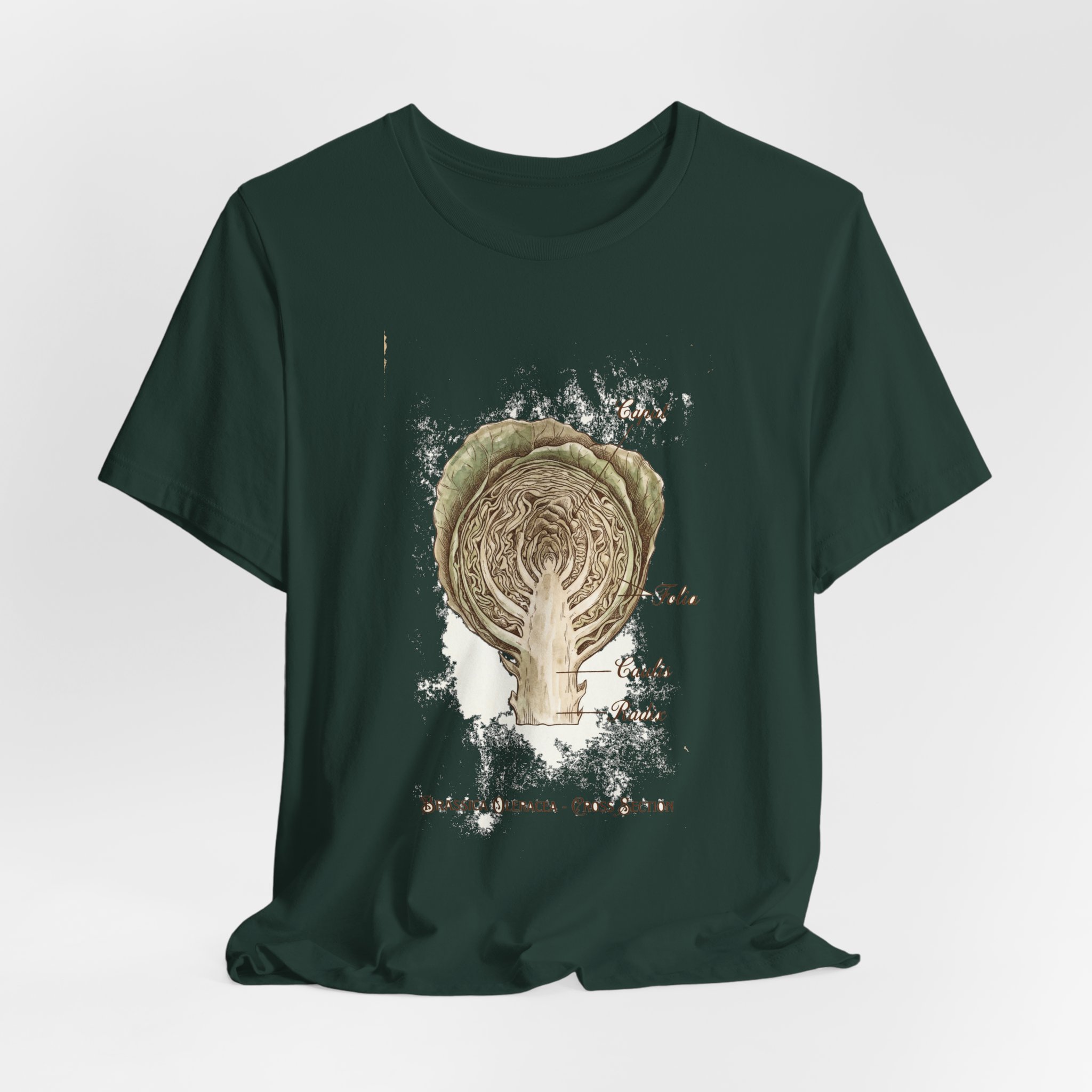 Cabbage Crush 2026 | Scientific Botanical Cross-Section V9 | Unisex Graphic Tee - Image 20